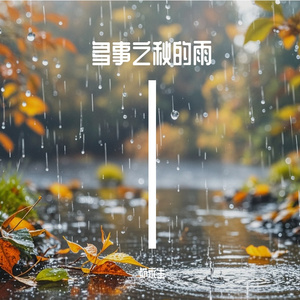 深夜的雨