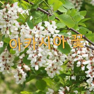아카시아 꽃