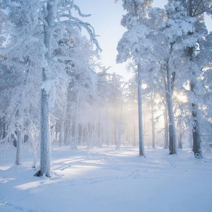 Бесконечная зима