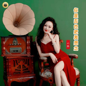 你是否也把我想念 (小琢DJ版)