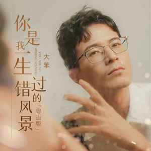 你是我一生错过的风景 (粤语版)