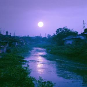 A Quiet Days Reflection