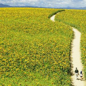 FormatFactoryPart106