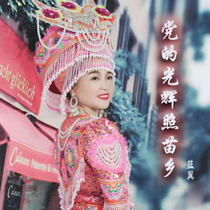 党的光辉照苗乡