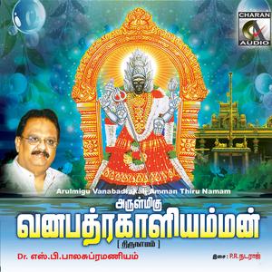 Om Shri Vanabadrakali Namha