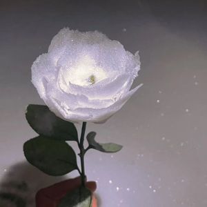 那个下雪的夜晚