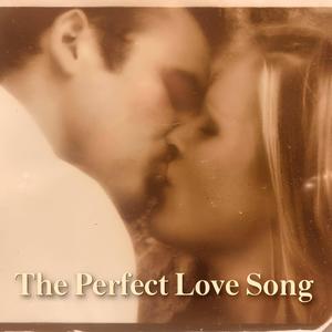 The Perfect Love Song