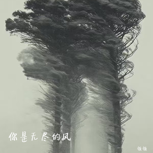 你是无尽的风