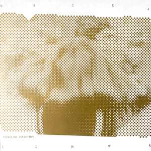 La Nuit Des Sauriens