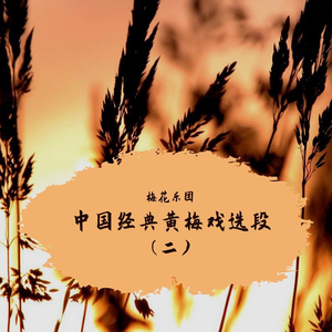 天仙配·含悲忍泪往前走