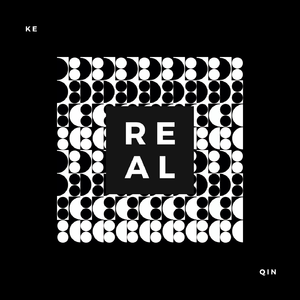 真金白银demo
