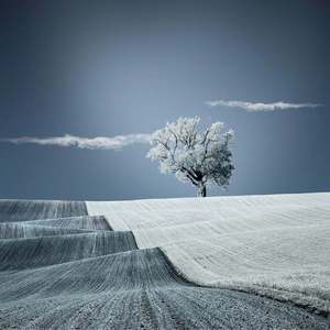 名字写在记忆里面 伴奏