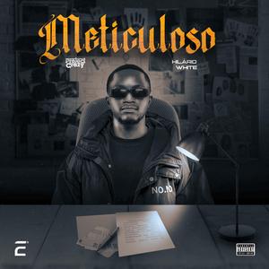 Meticuloso