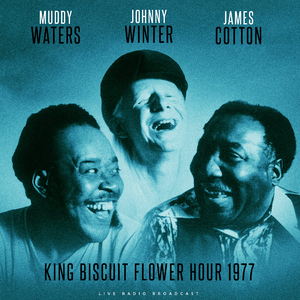 The Blues Had A Baby and They Named It Rock'n'Roll (Live)