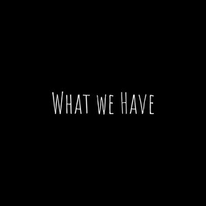 What We Have