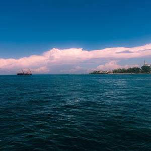 忽然（翻自 李志）