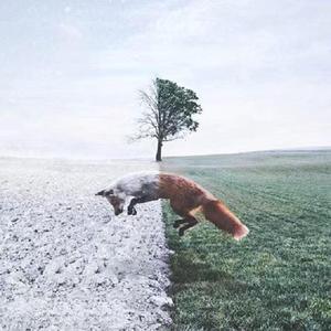 Run(Cover: Chris Rubeo)