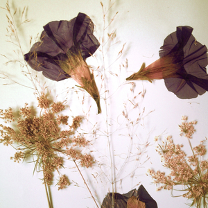 Electrocute-1 (Slash Fiction Remix)