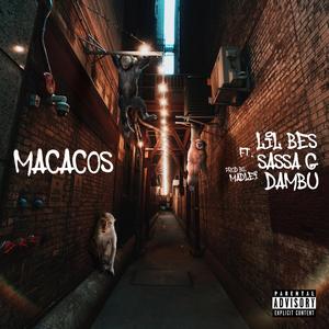 MACACOS (feat. Sassa G & Dambú)