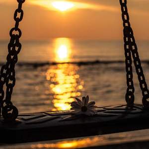 是小佘啊 - 在你的身边！