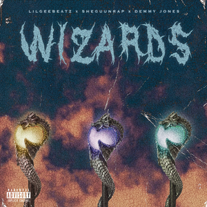 Wizards