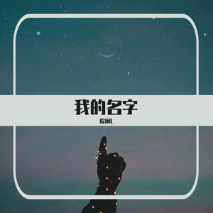 我的名字
