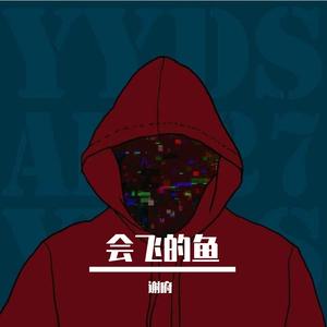 会飞的鱼