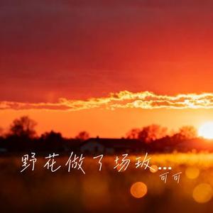 野花做了场玫瑰花的梦 (Cover 向思思)