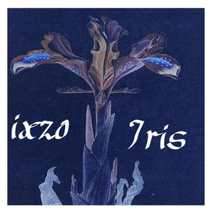 Iris Lutescens