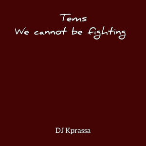 Tems we cannot be fighting