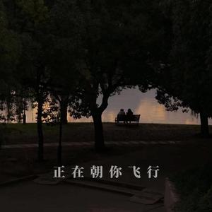 正在朝你飞行
