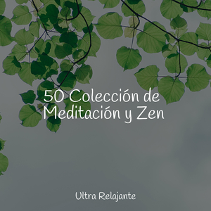 Llamado Desde Dentro