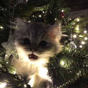 Emotionally Scarred (slowed)