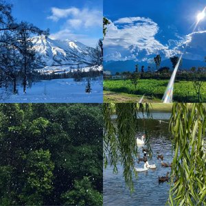 十七岁盛夏错过的告白