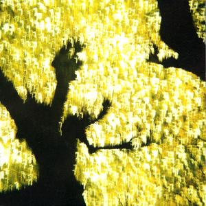 Skar (Life in the Skerries)