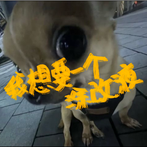 我想要一个涂改液