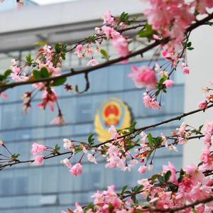 警院青春 金盾风采