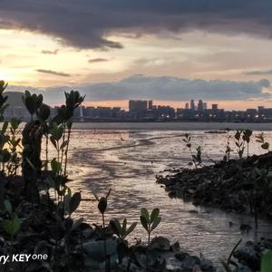 异地（Prod.BFCat）