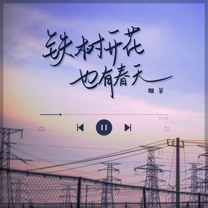 铁树开花也有春天(DJ版)