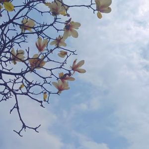 谁明浪子心