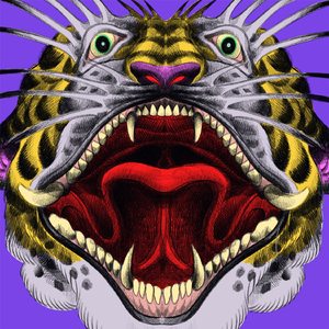 Bury Me With My Screams