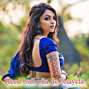 Reed bull pila de bhayela