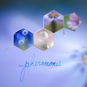 Pheromones