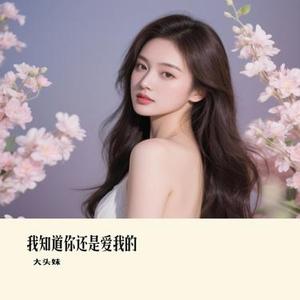 我知道你还是爱我的 (Remix)