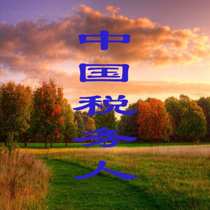 中国税务人