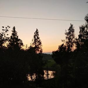 想念小时候在故乡