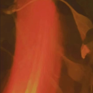 GAAI（prod.by Morrow )