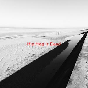 Hip Hop Is Dead (Tribute version originally performed by Nas)