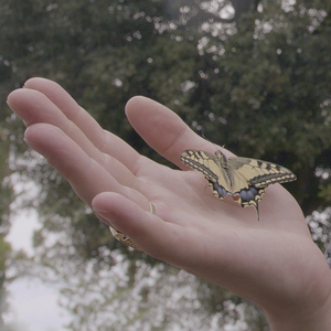 Bitte lass mich frei