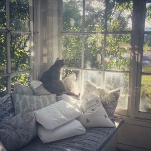 我只愿你遍历山河觉得人间值得